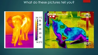 Thermoregulation AQA GCSE TRIPLE Mrs Corbett