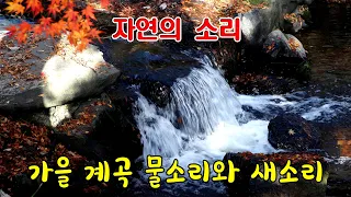 자연의 소리 (Sounds of nature)- 가을 계곡의 물소리, 새소리