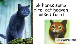 warrior cats lore in a nutshell (part 2: into the wild in a nutshell)