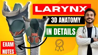 Larynx anatomy | cartilage of larynx anatomy | ligaments of larynx anatomy | muscle of larynx