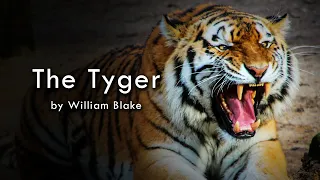 The Tyger by William Blake | Classic Poetry Readings