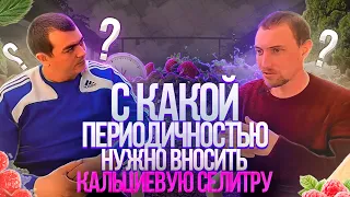 кальциевая селитра - как часто вносить?