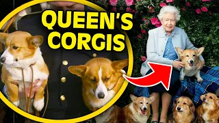 What Happened To The Queen's Corgis?