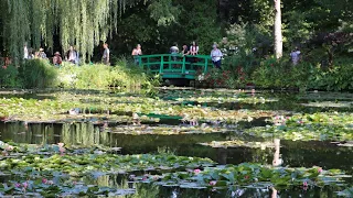 Claude Monet’s Water Garden filled with water lilies at Giverny in Normandy, France