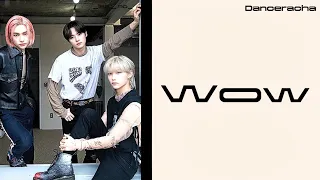 Stray Kids (Lee Know, Hyunjin, Felix) 'Wow' Lyrics|@StrayKids|@_lee._.no_