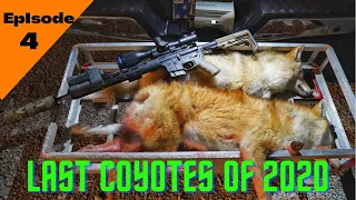 Thermal Predator Hunting | Coyote Hunting with Pulsar Thermion and FoxPro X24 | Ep. 4