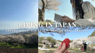 🇯🇵Life in japan | Spring Vlog : Sakura, Mount Fuji, Beach, Health exam results