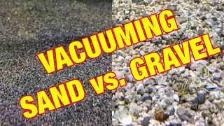 VACUUMING: Sand vs. Gravel (Plus 9 Bonus Tips!)