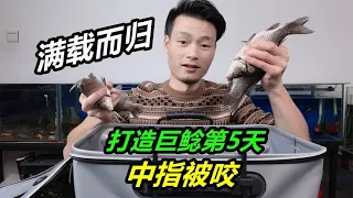 魚獲到家死了一大半，無奈將其全部餵魚，結果又被鱷魚咬了