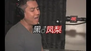 【Gachimuchi】Black♂Pineapple