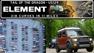 Revive 2023 Elements On The Dragon Meet Up Day 8 with @HerbsElement