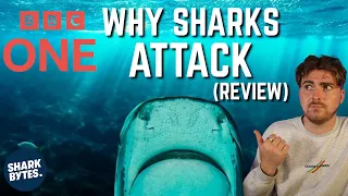 BBC - Why Sharks ATTACK: Shark Scientist Opinion