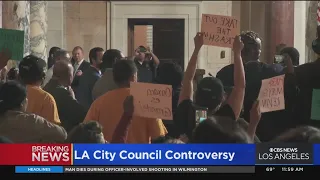 Protestors disrupt LA City Council meeting as members call for censure of those involved in scandal