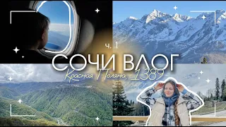 VLOG | ВЛОГ СОЧИ / горы, Красная Поляна, отель 1389 | отдых с ребенком / ч.1