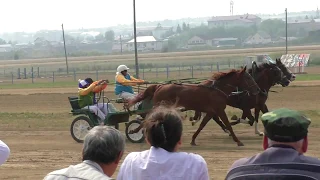 Русская тройка Коперник, Бонд. Емельяновский ипподром 2019 сельский