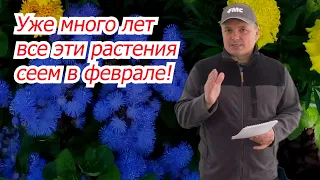 Что посеять в феврале на рассаду? Наш список овощей и цветов.