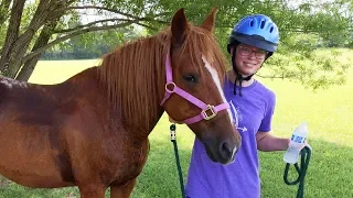 Surprise Kinder Playtime Horse Molly | Horse Riding Safety Video for Kids - Let's Learn about Horses