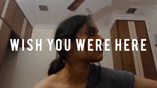 Wish You Were Here - Pink Floyd || Cover by Melissa Srivastava