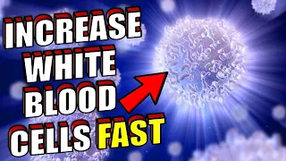 How To Increase Your White Blood Cell Fast