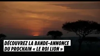 Découvrez la bande-annonce du prochain Roi Lion