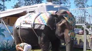 Elephant Encounter Show. Cora and Shannon