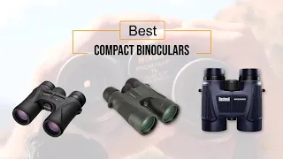 Top 5 Best Compact Binoculars Review in 2020