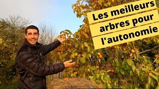 😍🍒🍏🍇Les meilleurs arbres fruitiers pour l'autonomie😍🍒🍏🍇