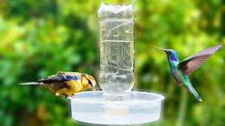 How To Make Automatic Bird Water Feeder Homemade | DIY
