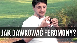 Jak dawkować feromony męskie?