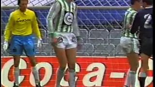 SK Rapid Wien | Saison 1988/89