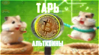 БИТКОИН КОРРЕКЦИЯ НА 32 000$? ХОМЯКИ НЕ ТАРЯТ АЛЬТКОИНЫ НА ДНЕ! 99% ЗАЙДУТ НА ХАЯХ! ПРОГНОЗ BTC 2024