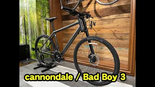 cannondale（キャノンデール） Bad Boy 3（バッドボーイ3）