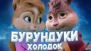 БУРУНДУКИ - ХОЛОДОК // МЭВЛ - ХОЛОДОК