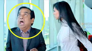 Brahmanandam And Sonal Chauhan  Ultimate Comedy Scene |  Comedy Hungama