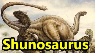 Shunosaurus: The Club Tailed Sauropod Dinosaur