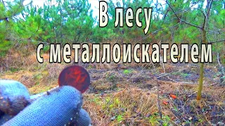 В лесу с металлоискателем.