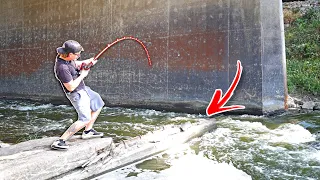 The BRIDGE MONSTER Almost Ripped My Rod In!!! (Unbelievably MASSIVE)
