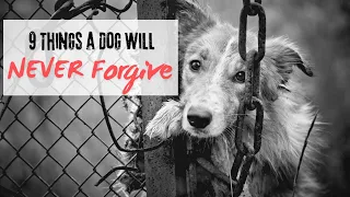 9 Things any Dog Will NEVER Forgive #mistakesdogwillneverforgive #dogremembers