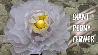 How to Make Giant Organza Flower , Peony Flower