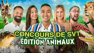 Énorme quiz Animalier : qui sera le plus grand connaisseur des animaux ?