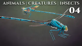 Animals - Creatures - Insects  / 04 - Blender 2.82