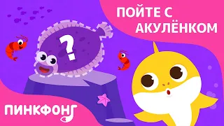 Прятки в море |  Пойте с Акулёнком | Пинкфонг Песни для Детей