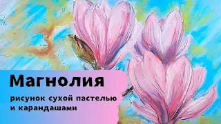 Как нарисовать цветы. Магнолии сухой пастелью и карандашами.