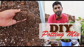 Potting Mix | Pot Sand Mix தமிழ் | Indoor plant sand mix