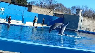 Зоопарк Акваріум в Мадриді Іспанія січень 2023. Zoo Aquarium de Madrid España #españa #madrid