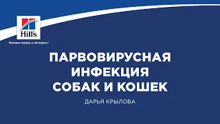 Вебинар на тему: "Парвовирусные инфекции собак и кошек. Группы крови кошек".