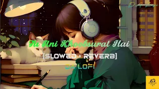 Tu Itni Khoobsurat Hai [Slowed+Reverb] | Barkhaa | Rahat Fateh | Sara Lorren | Amjad | DA Lofi