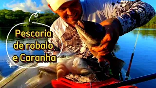 Pescaria De Caranha E Robalo Com Grande aventura ￼