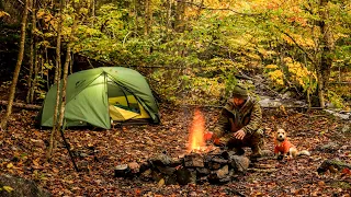 Camping In rain With Tent