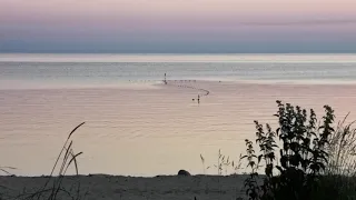 Эстония. Кемпинг Metsaluige 19.06. 2021. Прогулка до моря.